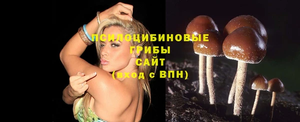 твердый Строитель