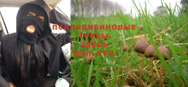 сатива Арсеньев