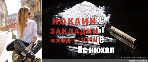 сатива Арсеньев
