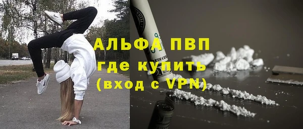 сатива Арсеньев